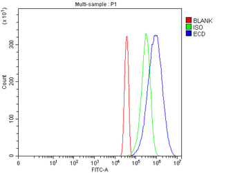 SGT1/ECD Rabbit Polyclonal Antibody