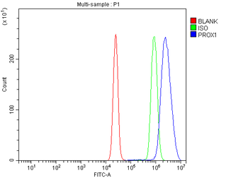 PROX1 Rabbit Polyclonal Antibody
