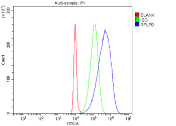 RPLP0 Rabbit Polyclonal Antibody