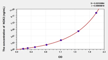 Human Nicotinamide Adenine Dinucleotide Phosphate Oxidase 2 (NOX2) ELISA Kit