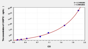Rat Caspase 12 (CASP12) ELISA Kit