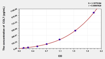 Chicken Collagen Type VII (COL7) ELISA Kit