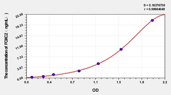 Human Forkhead box Protein C2 (FOXC2) ELISA Kit