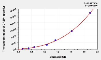 Pig Caspase 1 (CASP1) ELISA Kit