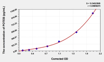 Human POTE ankyrin domain family Member B3 (POTEB) ELISA Kit