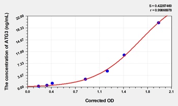 Rat Autophagy Related Protein 3 (ATG3) ELISA Kit
