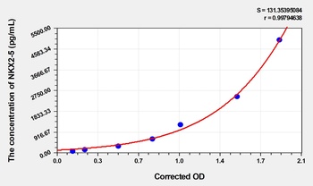 Human NK2 Homeobox 5 (NKX2-5) ELISA Kit