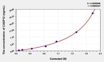 Human Caspase 12 (CASP12) ELISA Kit
