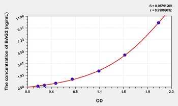 Human BAG2(Bcl2 Associated Athanogene 2) ELISA Kit