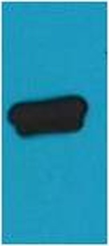 AmCyan-Tag Mouse mAb Antibody