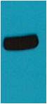 AmCyan-Tag Rabbit pAb Antibody
