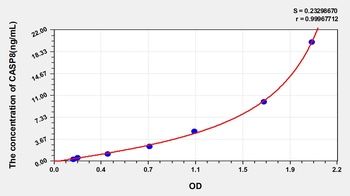 Mouse Caspase 8 (CASP8) ELISA Kit