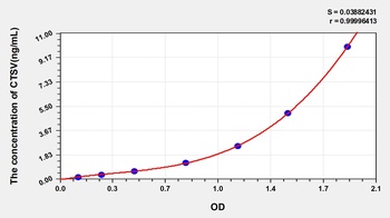 Human Cathepsin V (CTSV) ELISA Kit