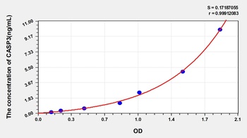 Human Caspase 3 (CASP3) ELISA Kit