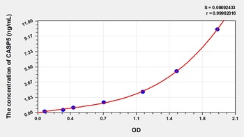 Human Caspase 5 (CASP5) ELISA Kit