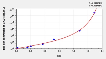 Human Caveolin 1 (CAV1) ELISA Kit