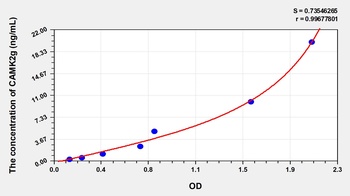 Rat Calcium/Calmodulin Dependent Protein Kinase II Gamma (CAMK2g) ELISA Kit