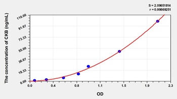 Human Creatine Kinase, Brain (CKB) ELISA Kit