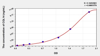 Human Collagen Type XIV (COL14) ELISA Kit