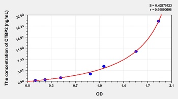 Human C-Terminal Binding Protein 2 (CTBP2) ELISA Kit