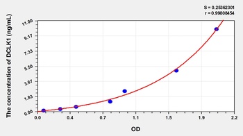 Human Doublecortin Like Kinase 1 (DCLK1) ELISA Kit