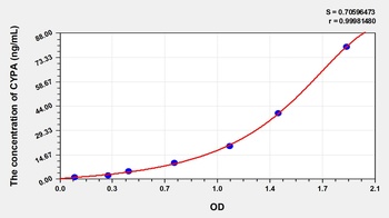 Rat Peptidylprolyl Isomerase A (PIA) ELISA Kit