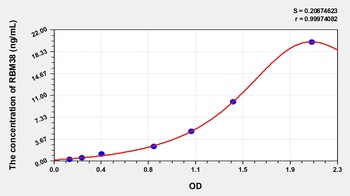 Human RNA Binding Motif Protein 38 (RBM38) ELISA Kit