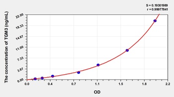 Mouse Transglutaminase 3, Epidermal (TGM3) ELISA Kit