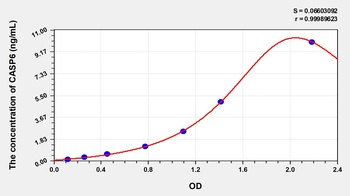 Human Caspase 6 (CASP6) ELISA Kit