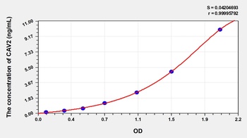 Human Caveolin 2 (CAV2) ELISA Kit