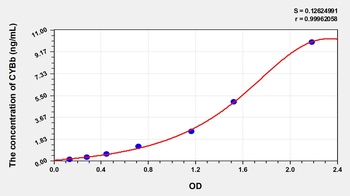 Human Cytochrome b-245 Beta Polypeptide (CYBb) ELISA Kit