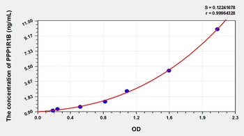 Human Protein Phosphatase 1, Regulatory Subunit 1B (PPP1R1B) ELISA Kit