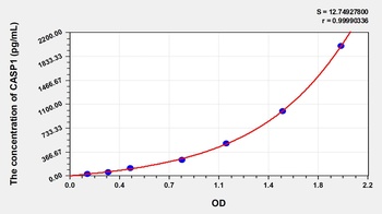 Mouse Caspase 1 (CASP1) ELISA Kit