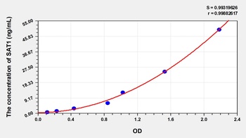 Human Spermidine/Spermine N1-Acetyltransferase 1 (SAT1) ELISA Kit