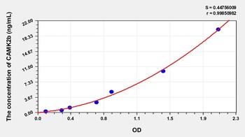 Human Calcium/Calmodulin Dependent Protein Kinase II Beta (CAMK2b) ELISA Kit