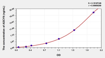 Human Adenylate Cyclase 9 (ADCY9) ELISA Kit