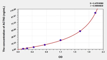 Human Actinin Alpha 3 (ACTN3) ELISA Kit