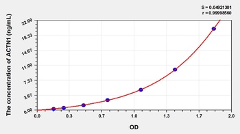 Human Actinin Alpha 1 (ACTN1) ELISA Kit