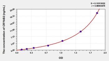 Human Crystallin Beta B2 (CRYbB2) ELISA Kit