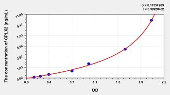 Human Complexin 2 (CPLX2) ELISA Kit