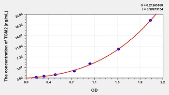 Rat Transglutaminase 2, Tissue (TGM2) ELISA Kit