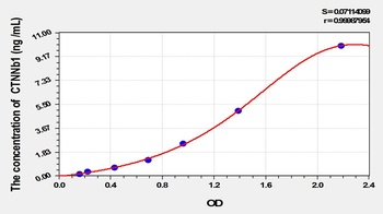 Rat Catenin Beta 1 (CTNNb1) ELISA Kit