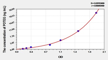 Human POTE Ankyrin Domain Family, Member G (POTEG) ELISA Kit