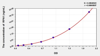 Rat Replication Protein A1 (RPA1) ELISA Kit