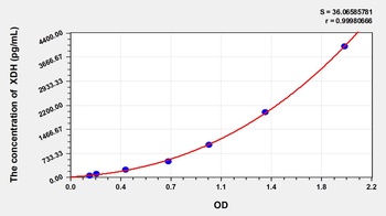 Rat Xanthine Dehydrogenase (XDH) ELISA Kit