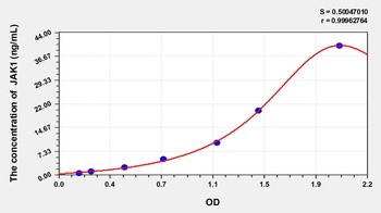 Rat Janus Kinase 1 (JAK1) ELISA Kit
