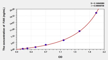 Rat Focal Adhesion Kinase (FAK) ELISA Kit