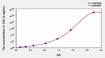 Rat Collagen Type XII (COL12) ELISA Kit