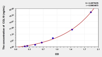 Rat Collagen Type XIX (COL19) ELISA Kit