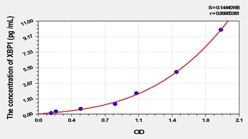 Rat X-Box Binding Protein 1 (XBP1) ELISA Kit